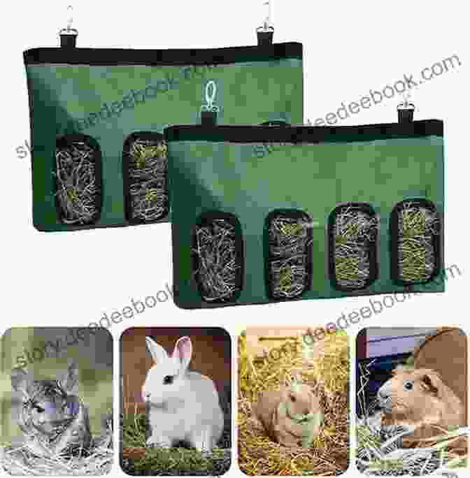 A Hay Bag For A Guinea Pig, Made Of Strong Mesh Fabric That Can Be Hung From The Cage. Sewing For Guinea PIgs: 13 Sewing Projects For Your Cavy