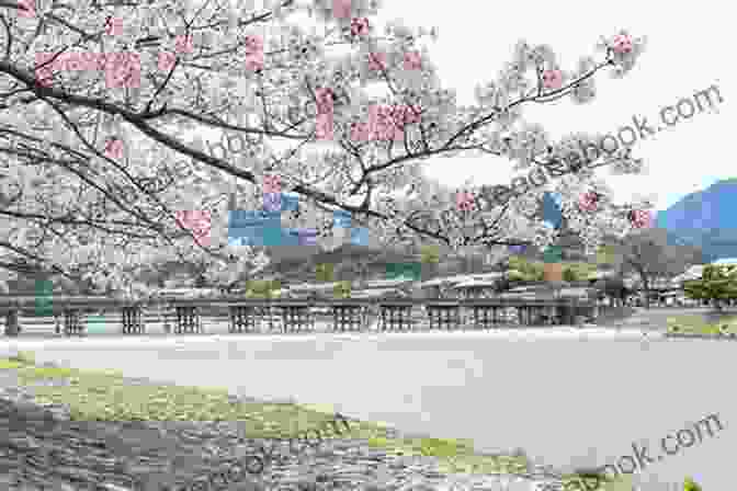 A Mesmerizing View Of Cherry Blossoms Framing The Togetsukyo Bridge In Arashiyama, Kyoto. Japan Sakura Chidorigafuchi 2024: Cherry Blossoms In Tokyo (Japan Photo 20)