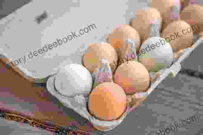 A Photo Of A Carton Of Eggs. Foodshed: An Edible Alberta Alphabet