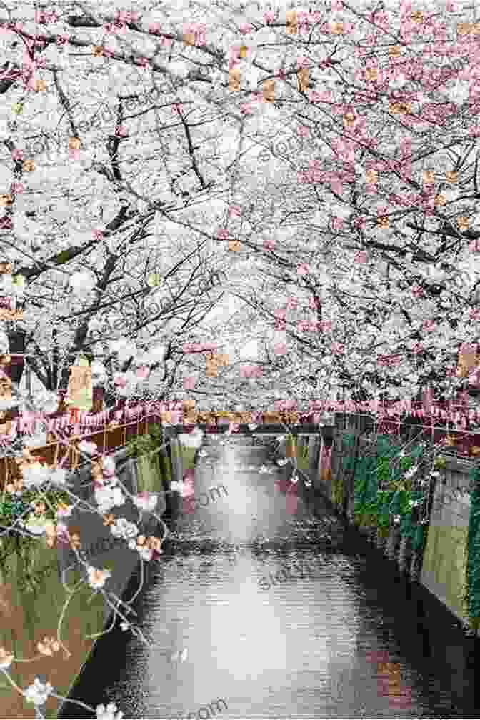 A Picturesque Bridge Adorned With Cherry Blossoms, Spanning The Meguro River In Tokyo. Japan Sakura Chidorigafuchi 2024: Cherry Blossoms In Tokyo (Japan Photo 20)