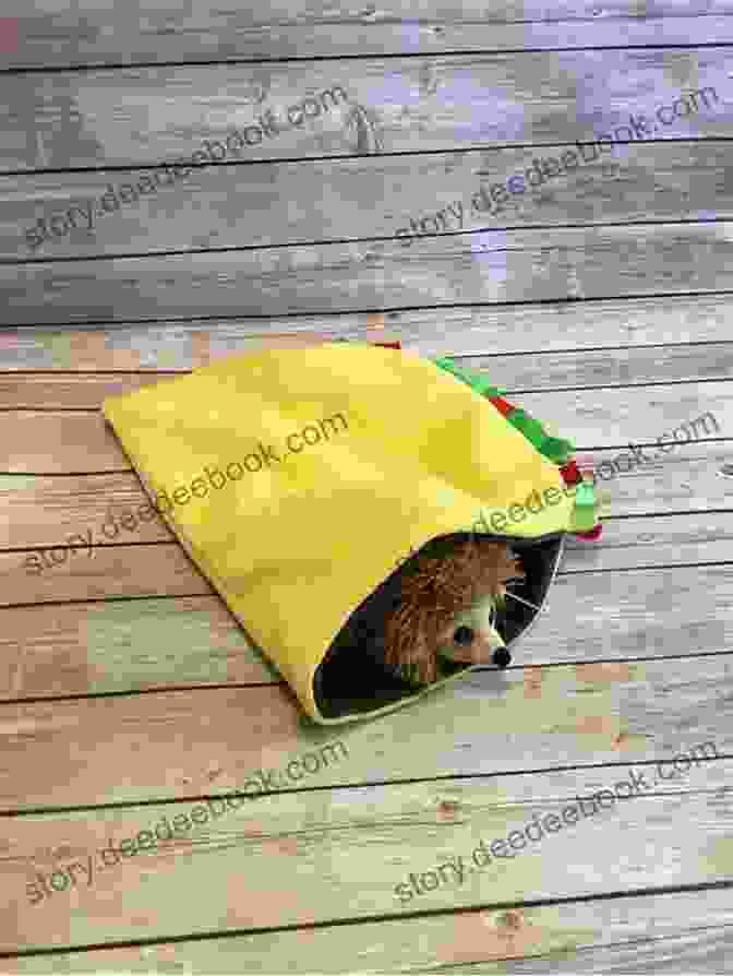 A Portable Snuggle Sack For A Guinea Pig, Made Of Soft Fleece Fabric With A Drawstring Closure. Sewing For Guinea PIgs: 13 Sewing Projects For Your Cavy