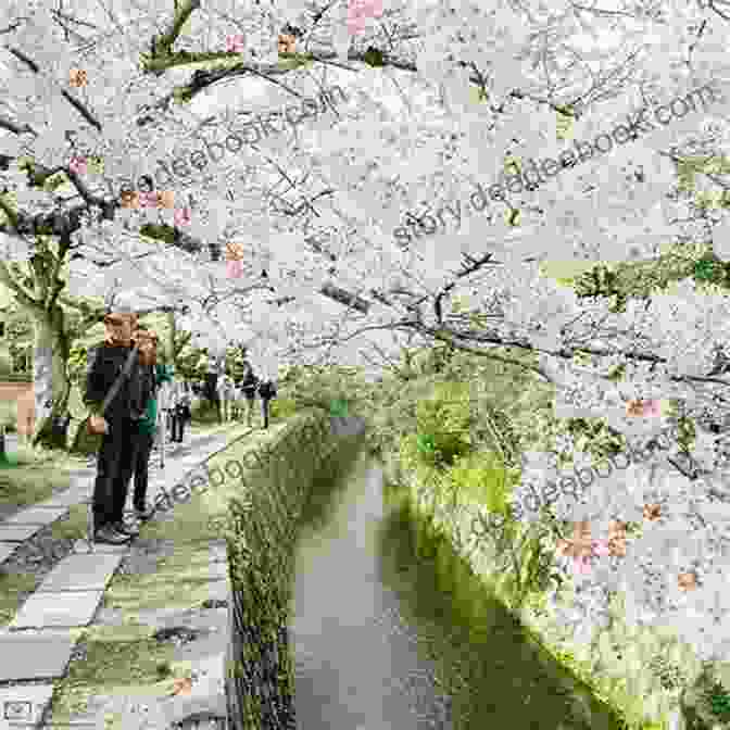 A Serene Stroll Along The Philosopher's Path In Kyoto, Lined With Blooming Cherry Trees And Traditional Teahouses. Japan Sakura Chidorigafuchi 2024: Cherry Blossoms In Tokyo (Japan Photo 20)