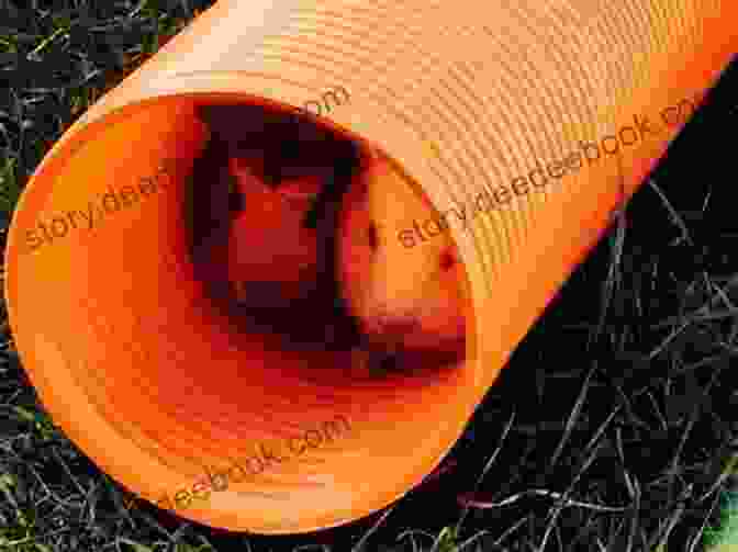 An Adventure Tunnel For A Guinea Pig, Made Of Sturdy Fabric With Multiple Twists And Turns. Sewing For Guinea PIgs: 13 Sewing Projects For Your Cavy