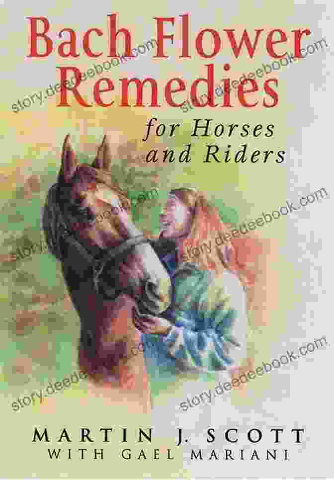 Bach Flower Remedies For Horses And Riders Gently Healing With Bach Flowers For Horses And Riders: Harmonize The Soul And Strengthen The Body By The Power Of The Flowers