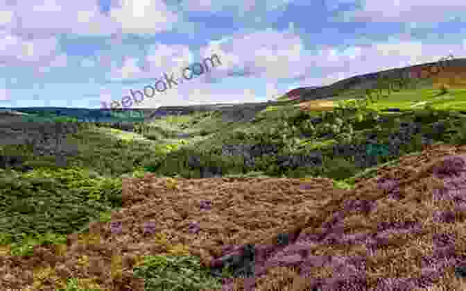 The Heather Clad Moors Of North York Moors National Park On The Beaten Track: Travelling The Great North Road In Yorkshire