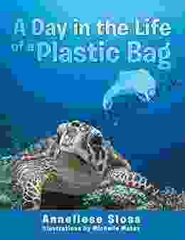 A Day in the Life of a Plastic Bag