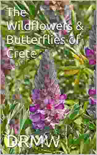 The Wildflowers Butterflies of Crete