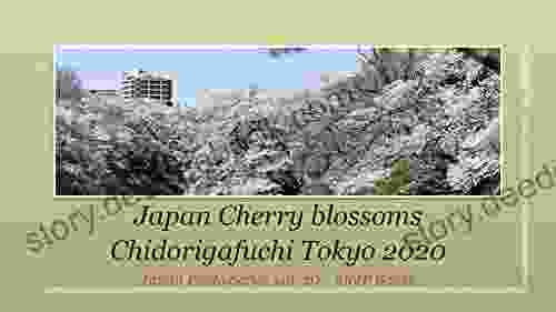 Japan Sakura Chidorigafuchi 2024: Cherry Blossoms In Tokyo (Japan Photo 20)